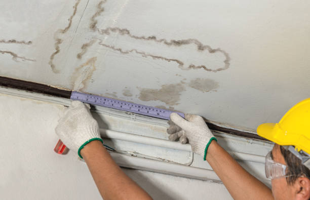 Reliable Burst Pipe Cleanup contractor in Wild Rose, WI by Water Damage Irwin